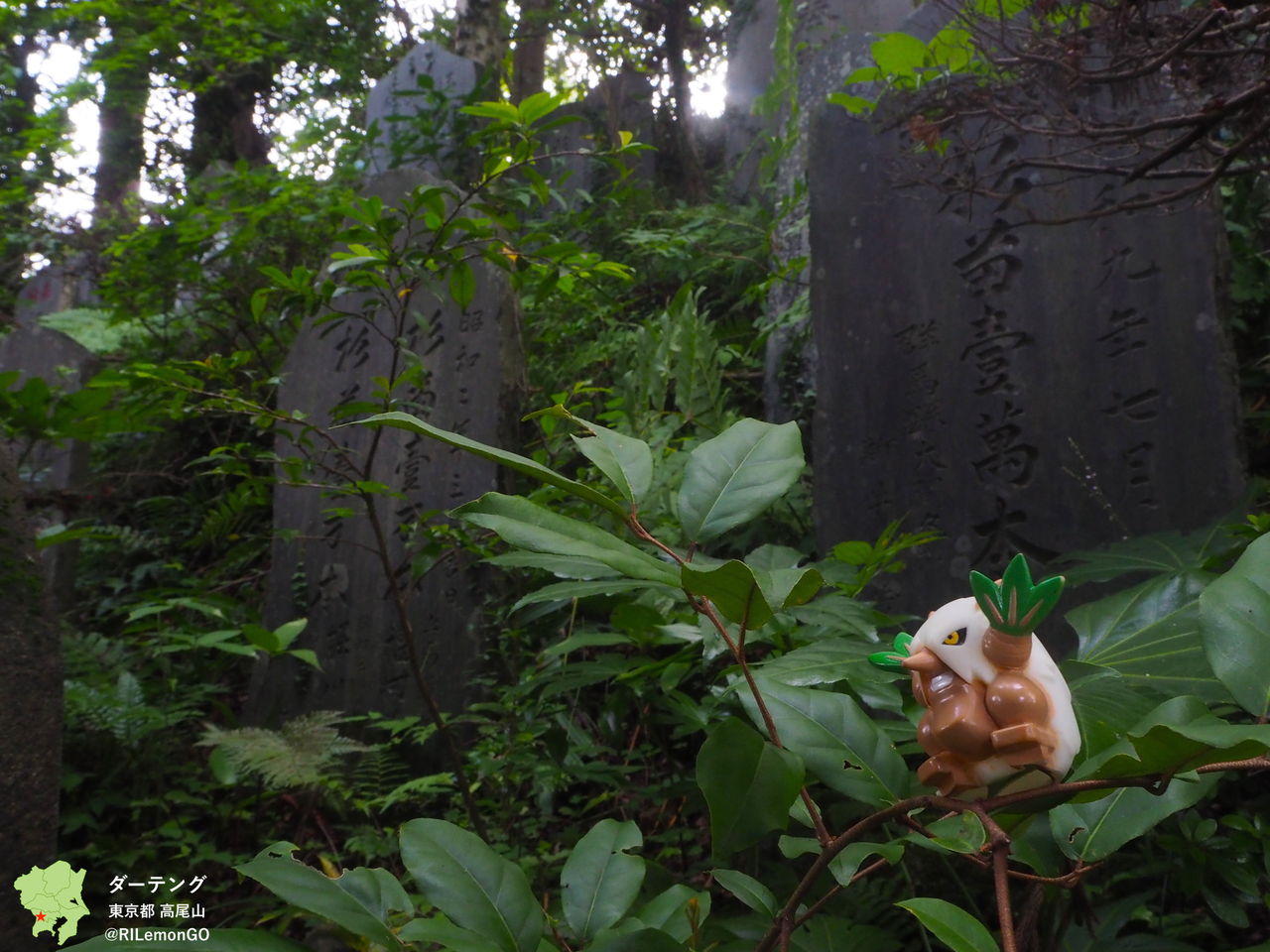 ダーテング 高尾山 リアルポケモンgo