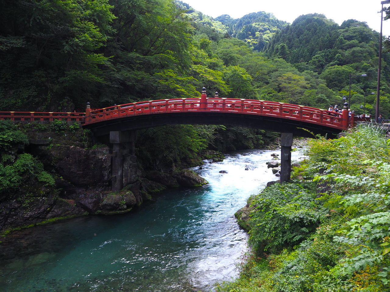 エネコ 日光東照宮 リアルポケモンgo エネコ 日光東照宮 リアルポケモンgo