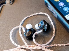 TFZ QUEEN LTD