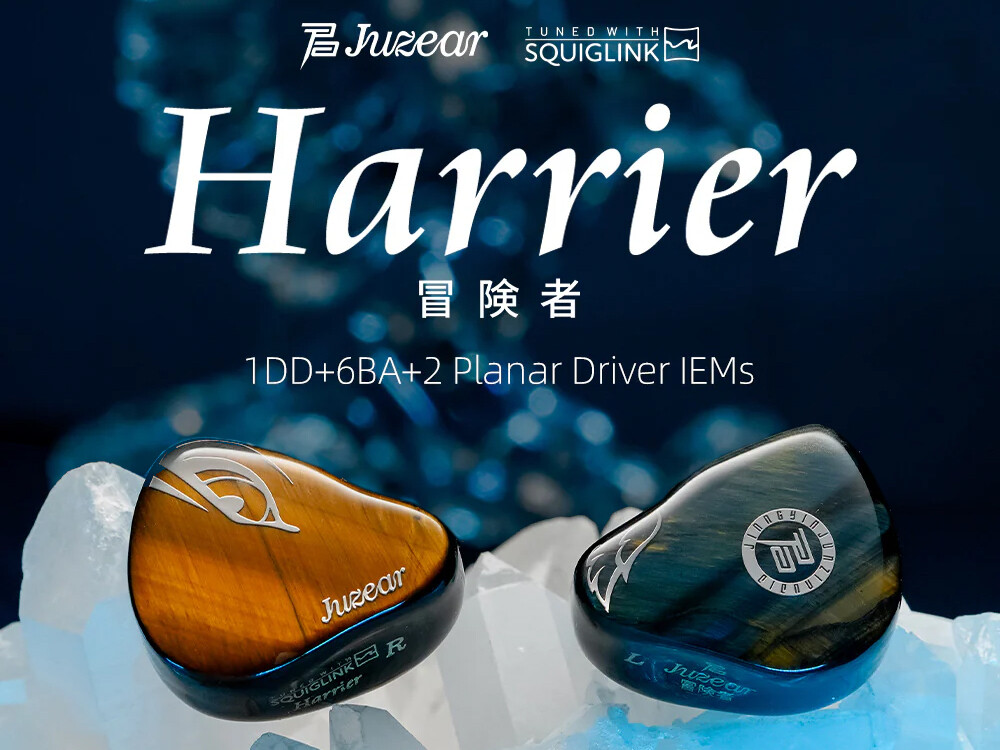 Juzear Harrier (冒険者)」 1DD+6BA+2マイクロ平面の9ドライバー構成に