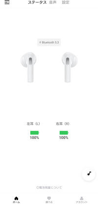 QCY T20 AilyPods