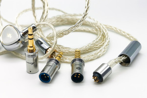 SIMGOT EA2000