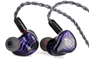 Kiwi Ears Quartet