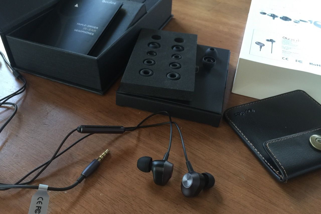 3千円で驚きの高性能】濃厚2DD「Tennmak Pro」、激安2BA+1DD「COULAX