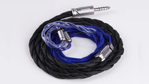 NICEHCK DragonScale 2 LTD