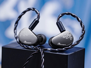 Kiwi Ears Cadenza II