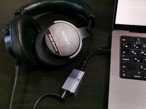 ROSESELSA RS9039