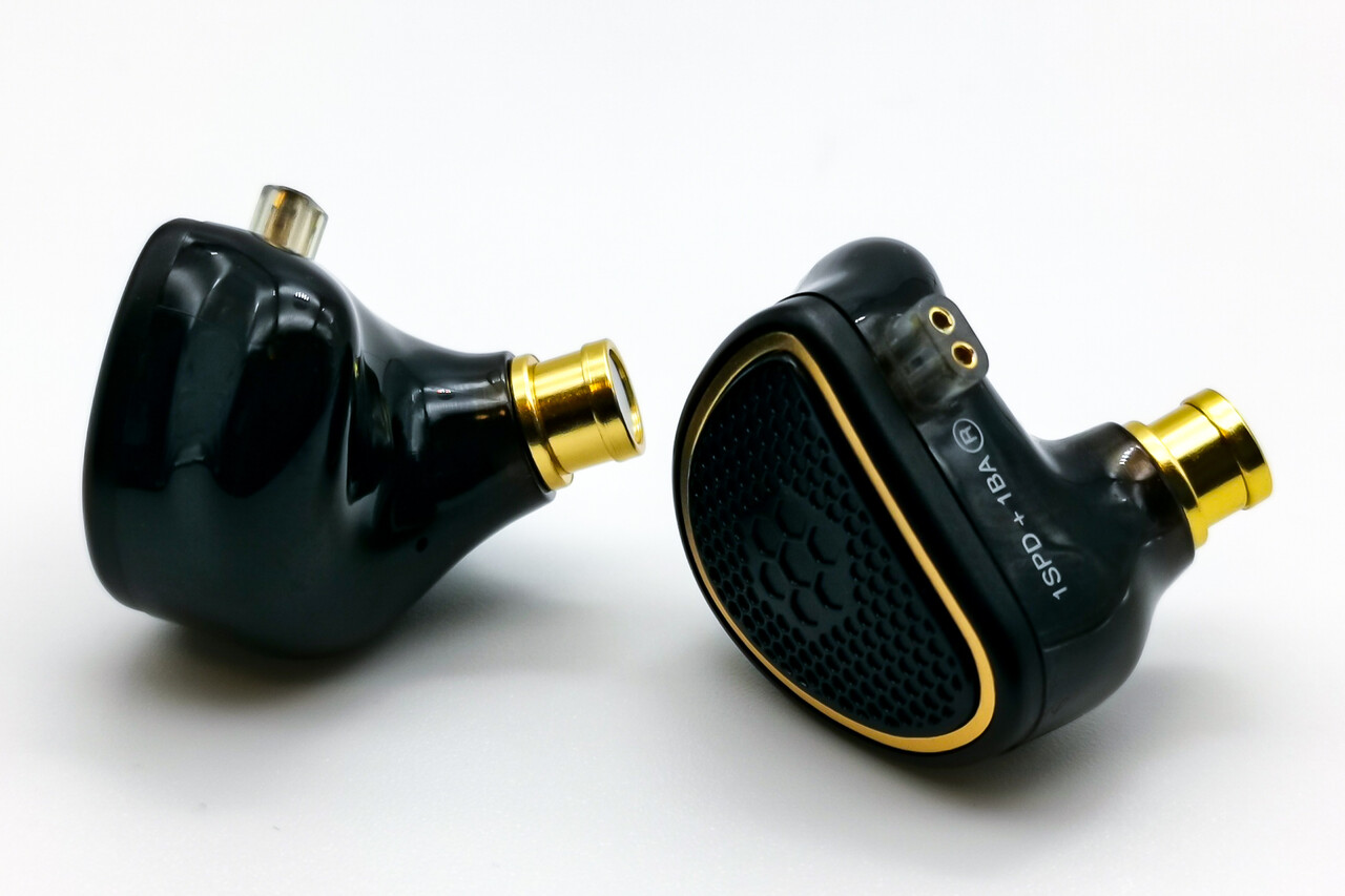 サンスベリア No Name ダンシングドラゴン 最新 ハイブリッド 2023/10