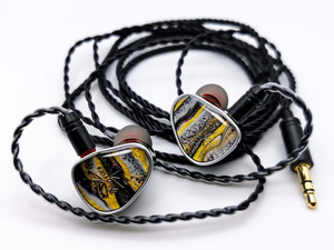 Kiwi Ears Étude