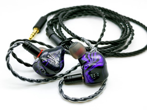 Kiwi Ears Quartet