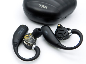 TRN Scallop