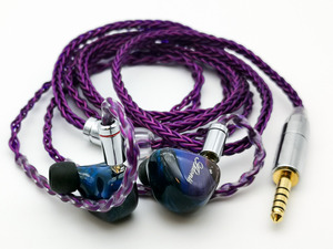 NICEHCK PurpleSE