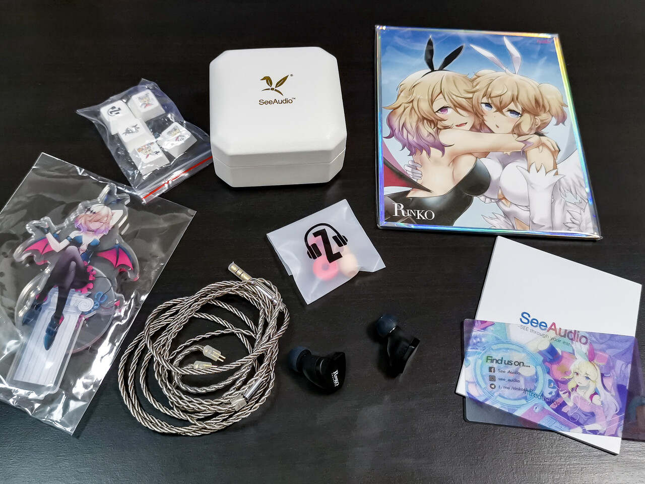 bisonicr keep walking. : 「SeeAudio x Z Review Rinko」＆「Rinko Touch」 6mm