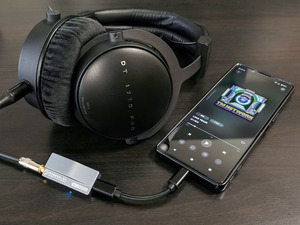 ROSESELSA RS9039