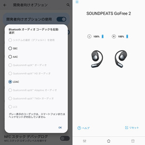SOUNDPEATS GoFree2
