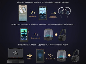 HIDIZS AP80 PRO MAX Pure Copper Edition