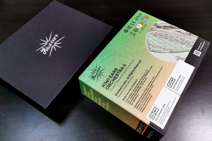 Kiwi Ears Orchestra II