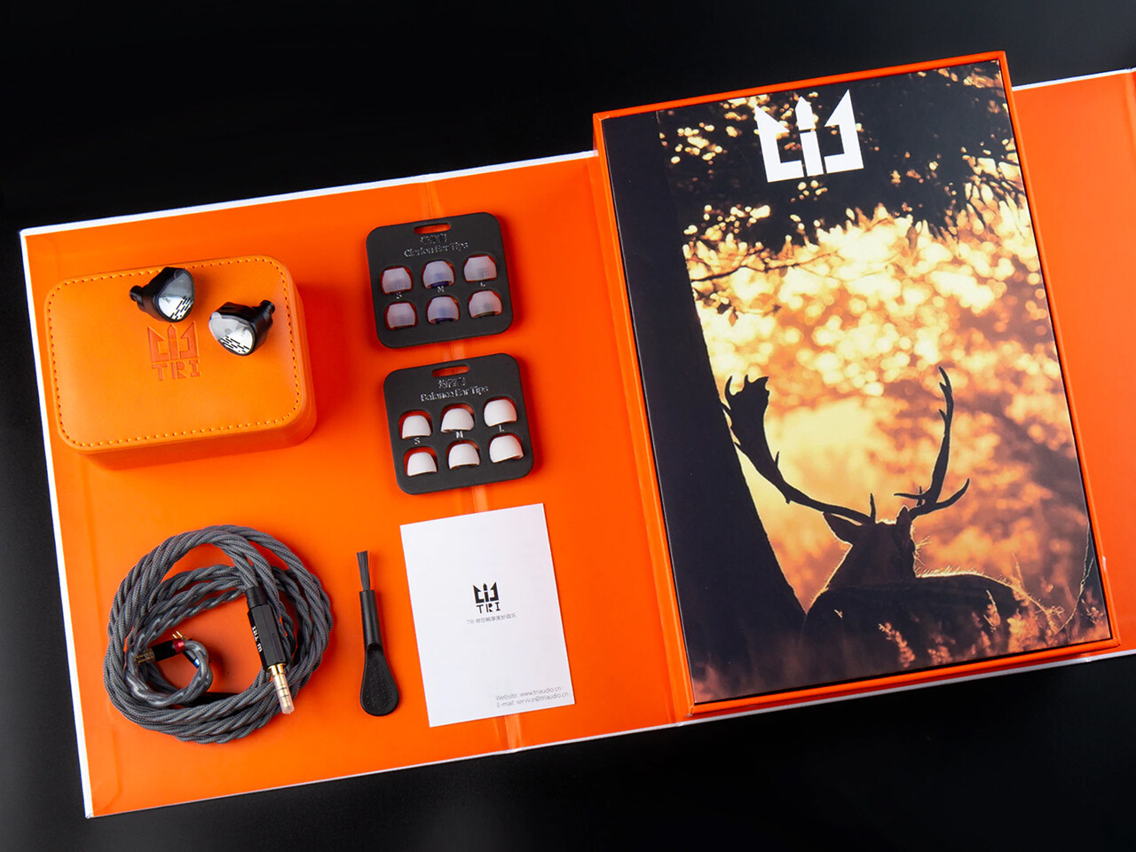 棚からレビュー】 「TRI iONE」 こだわりのシングルダイナミック