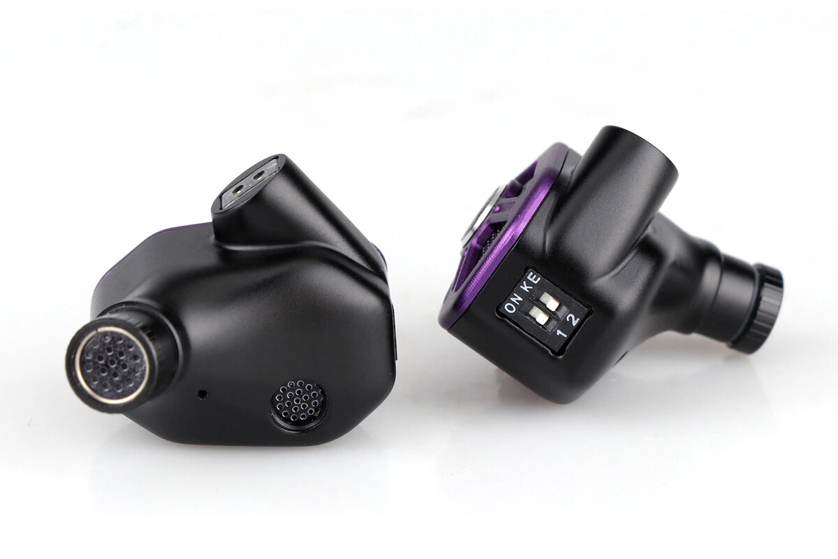 RAPTGO Bridge」 ギミック好きなら購入必至。2BA+2DD+PZT(圧電