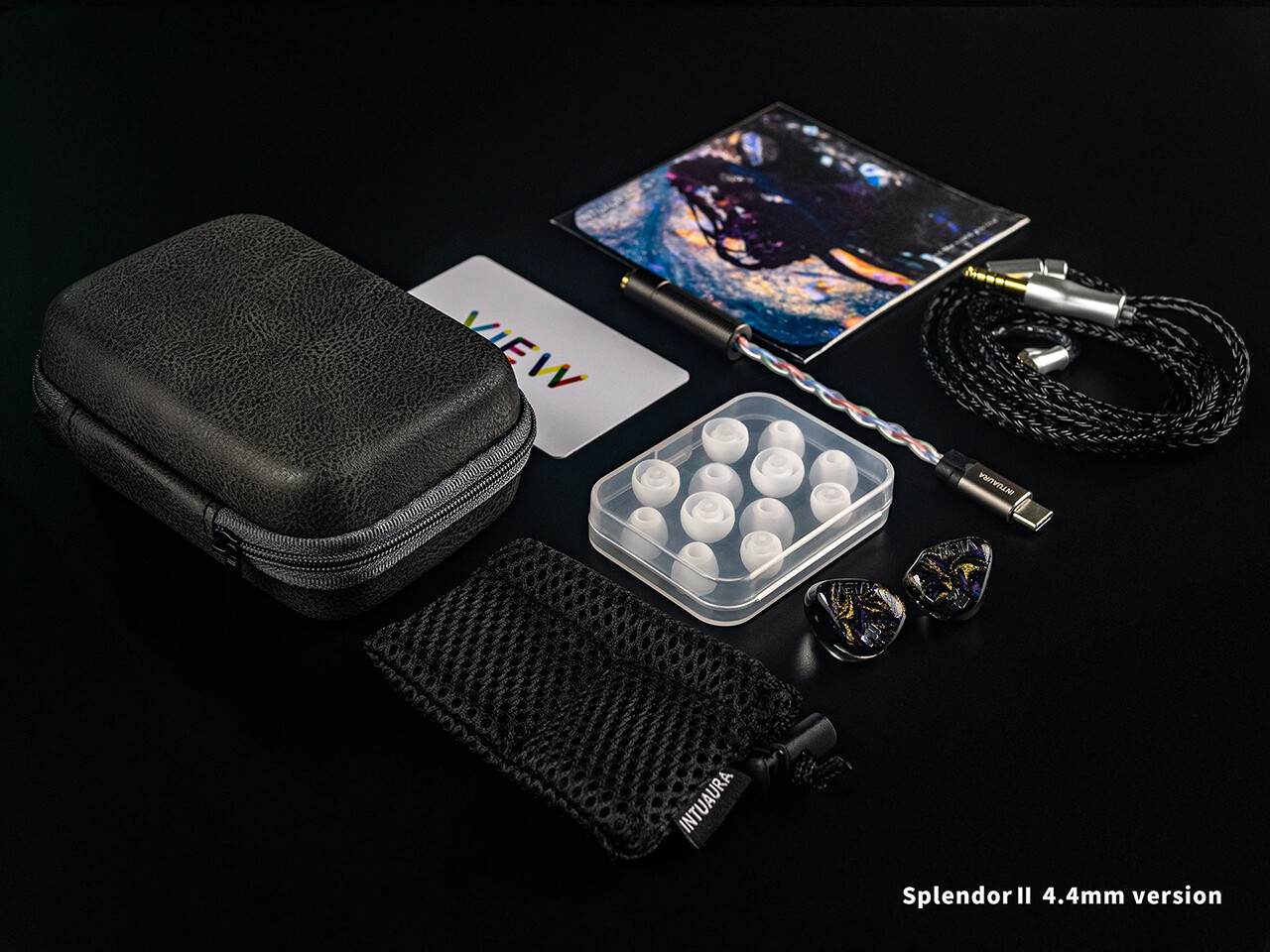 INTUAURA Splendor II」 高い実力を持ちつつ「謎っぽさ」もあり