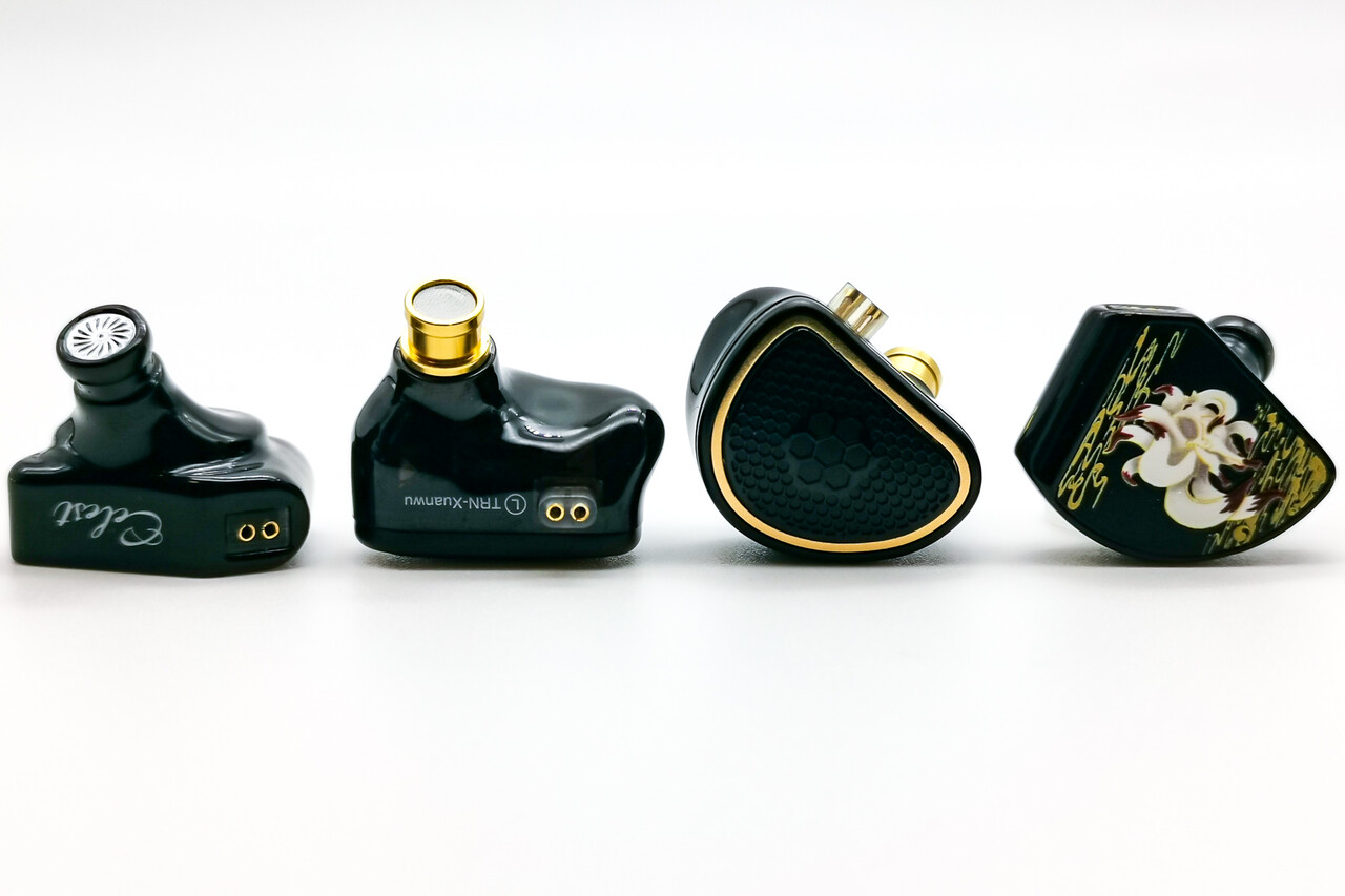 サンスベリア No Name ダンシングドラゴン 最新 ハイブリッド 2023/10