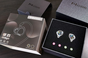 HZSOUND GINKGO (銀杏)