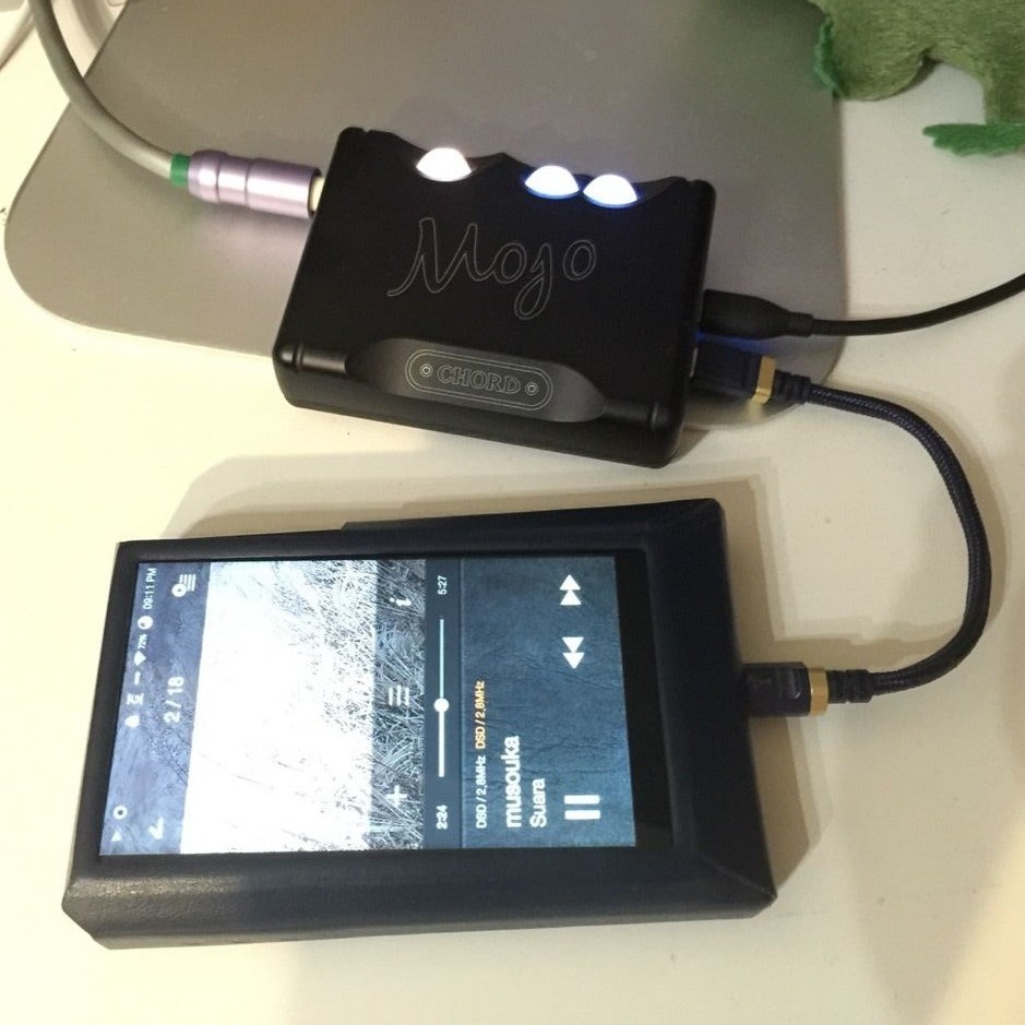 訳あり　Astell&Kern AK300 オーディオプレイヤー Astell&Kern AK300｜Astell&Kern