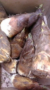 385b73d8.jpg