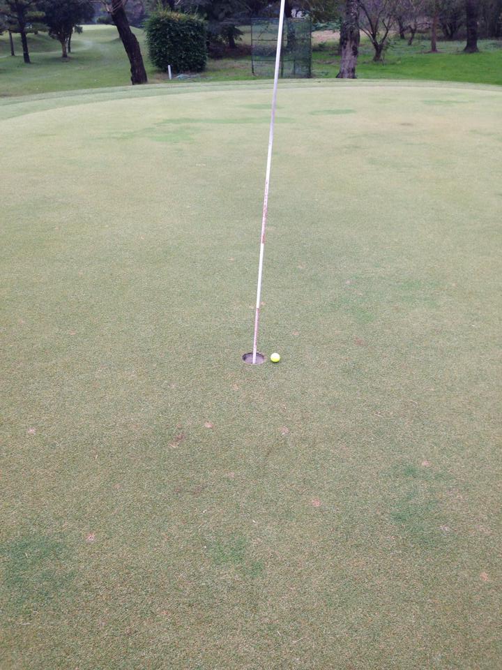 白井ゴルフ 林間コース コンペ あわやホールインワン 食事 宴会 美食茶屋