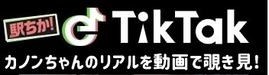 カノン駅ちかチックタックHP用バナー