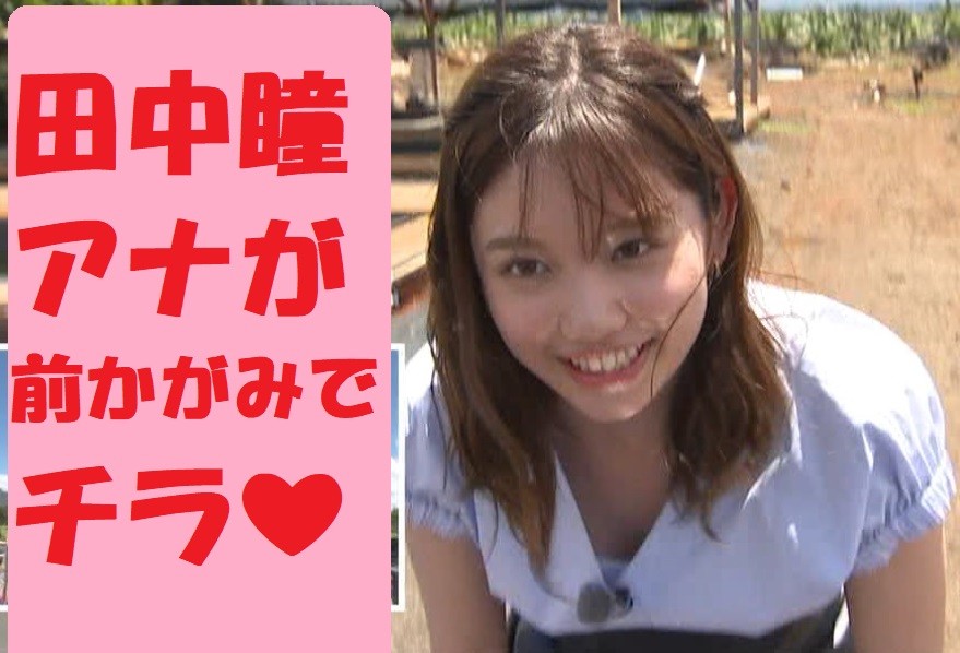 田中瞳アナが前かがみでチラ みっけた 今日の女子アナのその一瞬