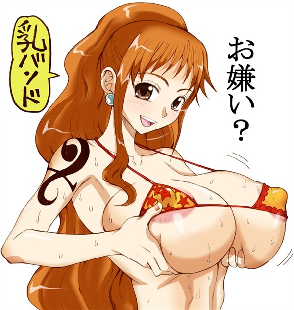 ワンピースのエロ画像