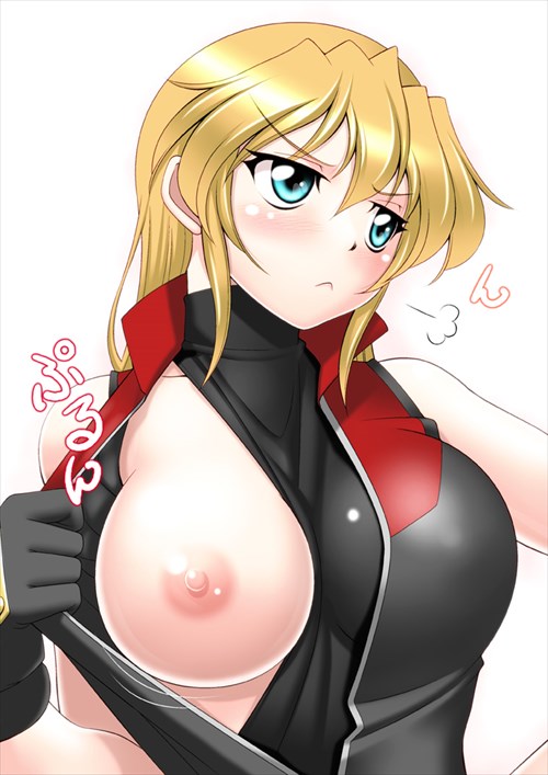 おっぱいのエロ画像