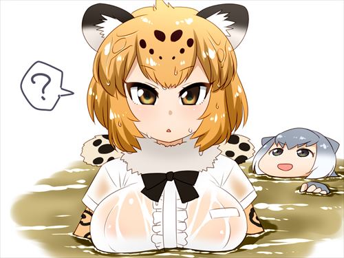 けものフレンズのエロ画像