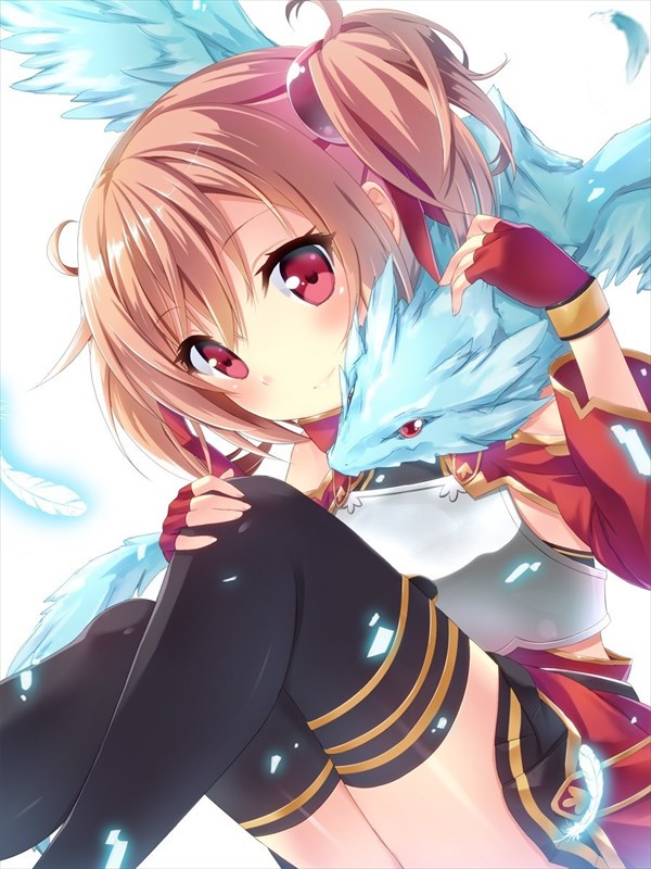 シリカのエロ画像