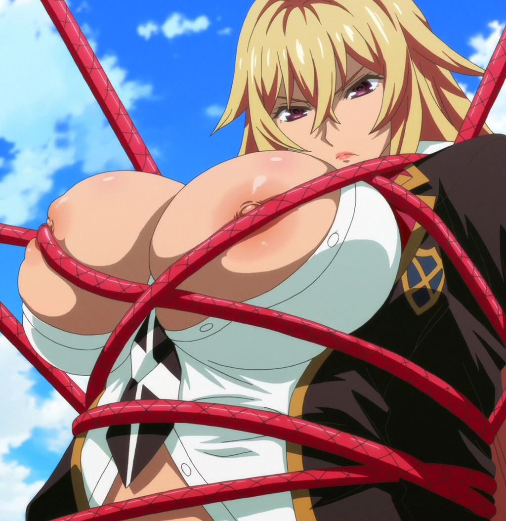 ヴァルキリードライヴマーメイドのエロ画像