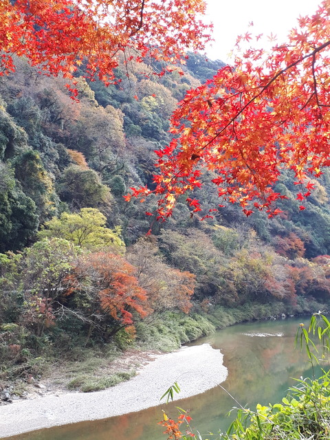 愛岐トンネル