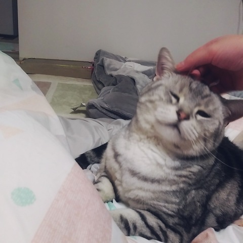 line_197041102900457
