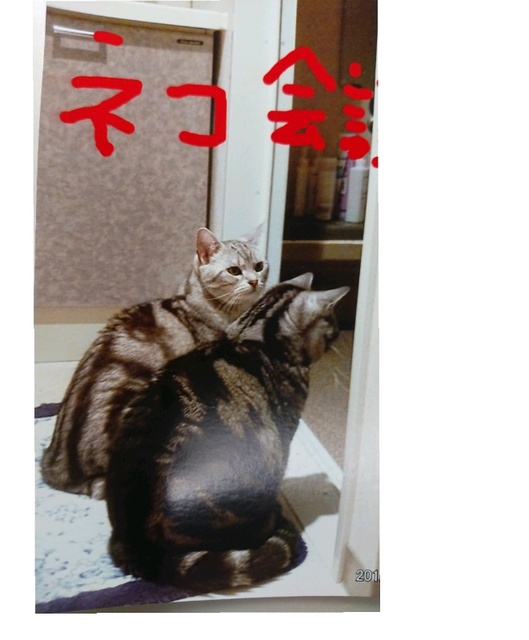 1b6fa908.jpg