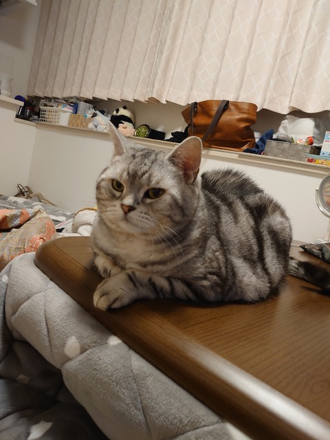 DSC_2943