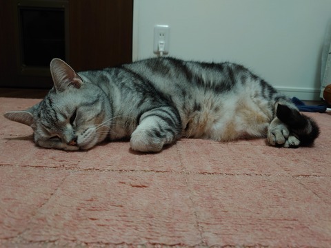 DSC_4209