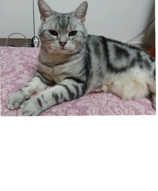 475439f0.jpg