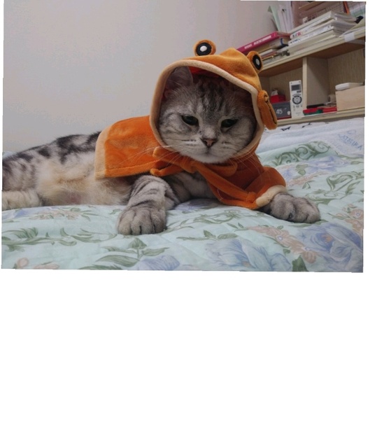 527298be.jpg