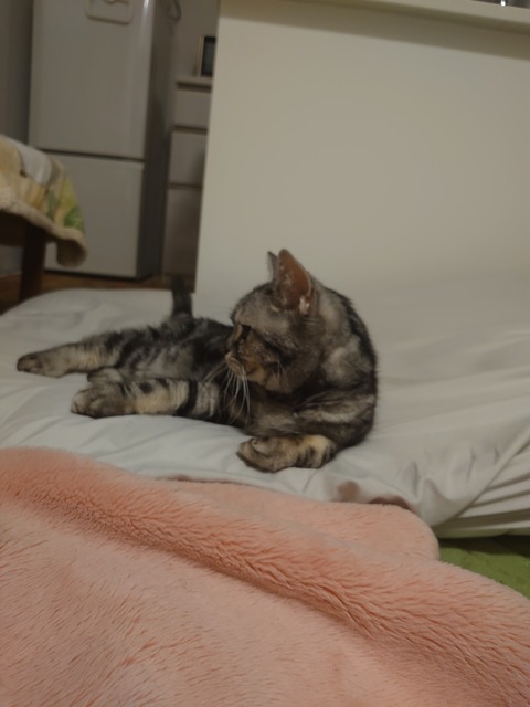 DSC_3950