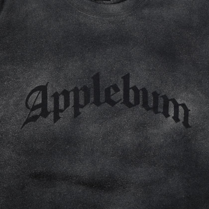 APPLEBUM-AIRBRUSH-CRWE-SWEAT-BLOG3
