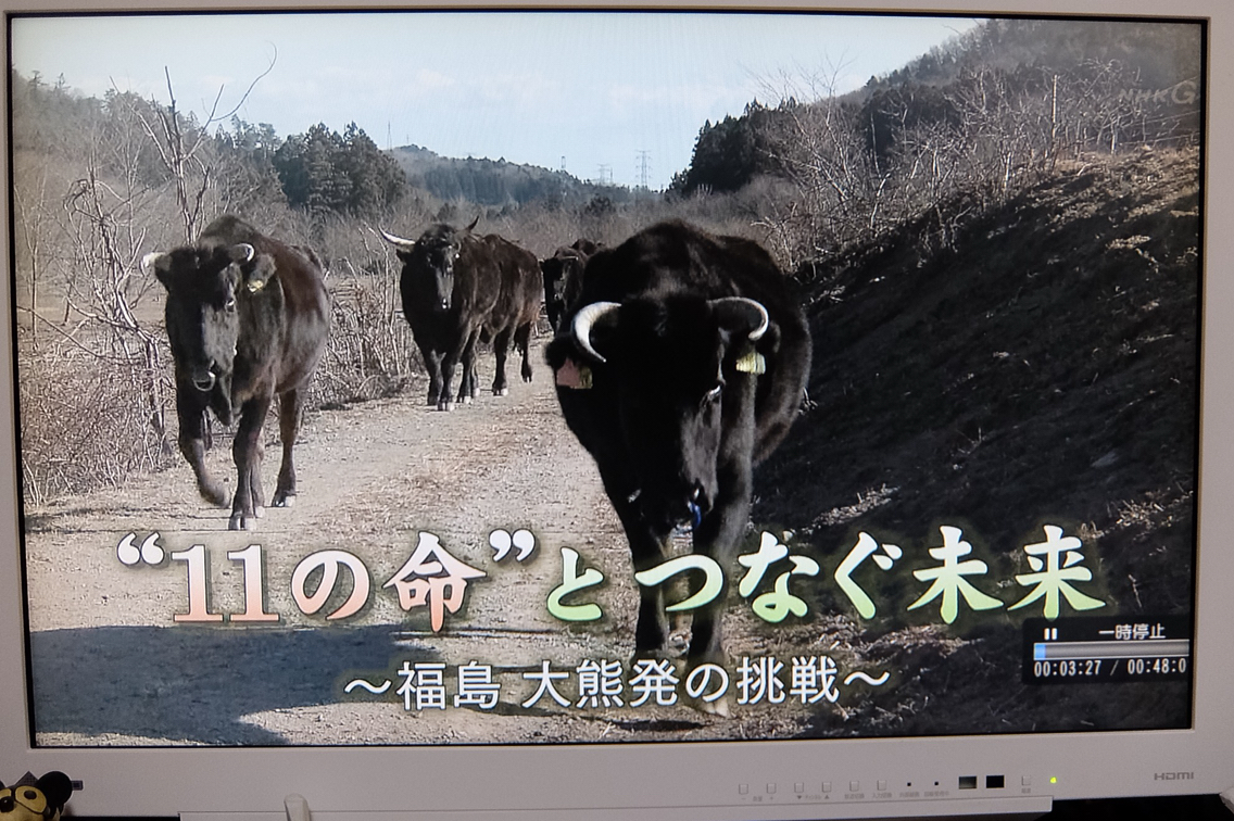 もーもープロジェクトの取り組み 瑞穂のブログ