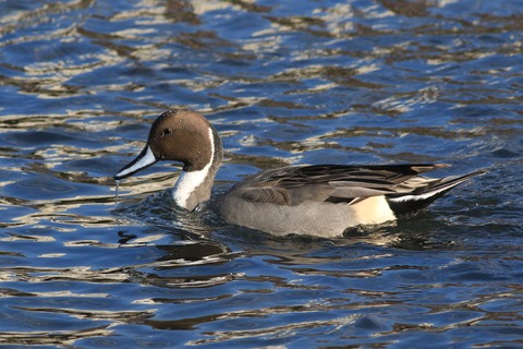 IMG_9789-crop