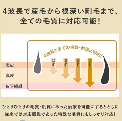 SnapCrab_NoName_2024-1-11_13-0-46_No-00