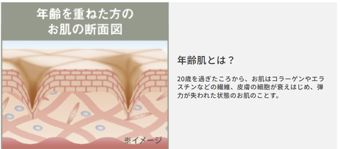 SnapCrab_NoName_2025-4-4_14-32-0_No-00