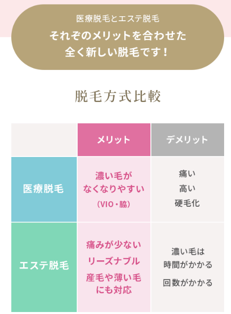 SnapCrab_NoName_2024-7-18_16-46-19_No-00